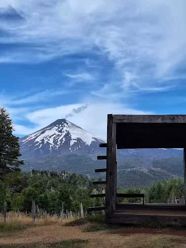 Bosque de Pinohuacho
